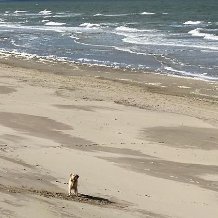 Natur Pur, O4 Neues Ferienhaus Natureingebunden, Familien- Und Hundefreundlich Eingezaeunt Callantsoog Exteriér fotografie