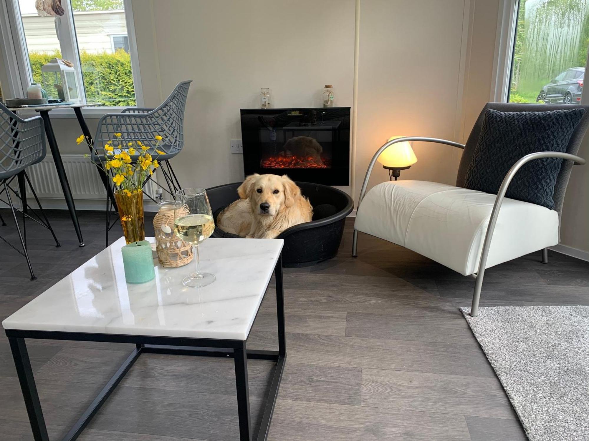Natur Pur, O4 Neues Ferienhaus Natureingebunden, Familien- Und Hundefreundlich Eingezaeunt Callantsoog Exteriér fotografie