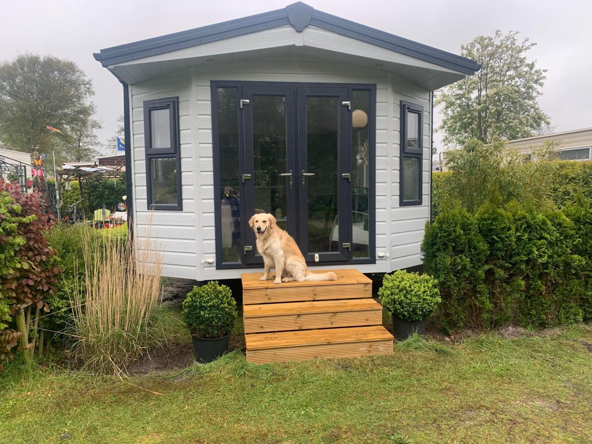 Natur Pur, O4 Neues Ferienhaus Natureingebunden, Familien- Und Hundefreundlich Eingezaeunt Callantsoog Exteriér fotografie